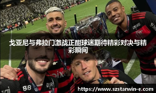 戈亚尼与弗拉门激战正酣球迷期待精彩对决与精彩瞬间